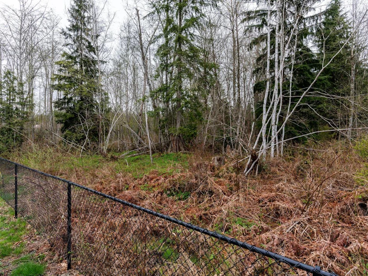 24115 Fern Crescent, Maple Ridge, BC, V4R 2S1 - 18