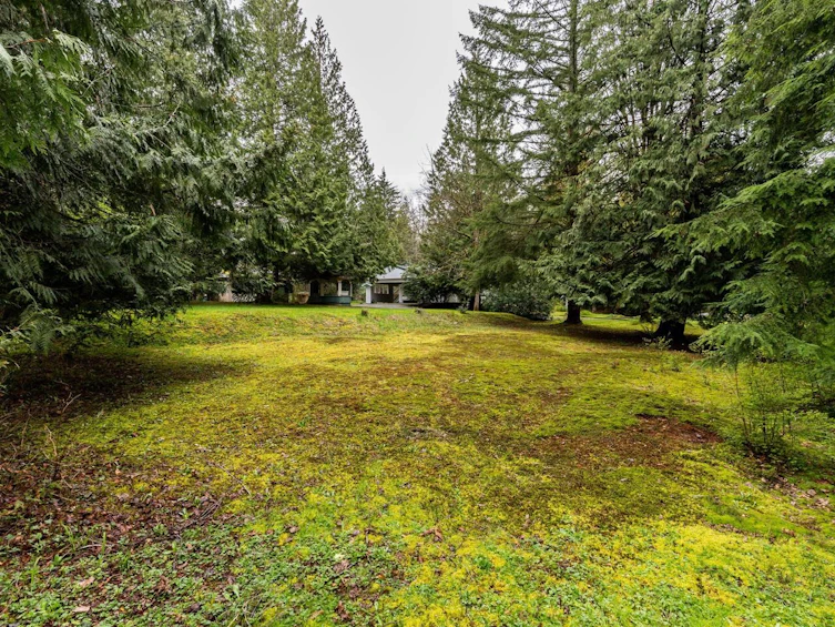24115 Fern Crescent, Maple Ridge, BC, V4R 2S1 - 28