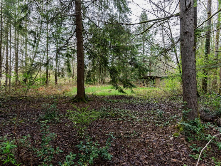 24115 Fern Crescent, Maple Ridge, BC, V4R 2S1 - 33