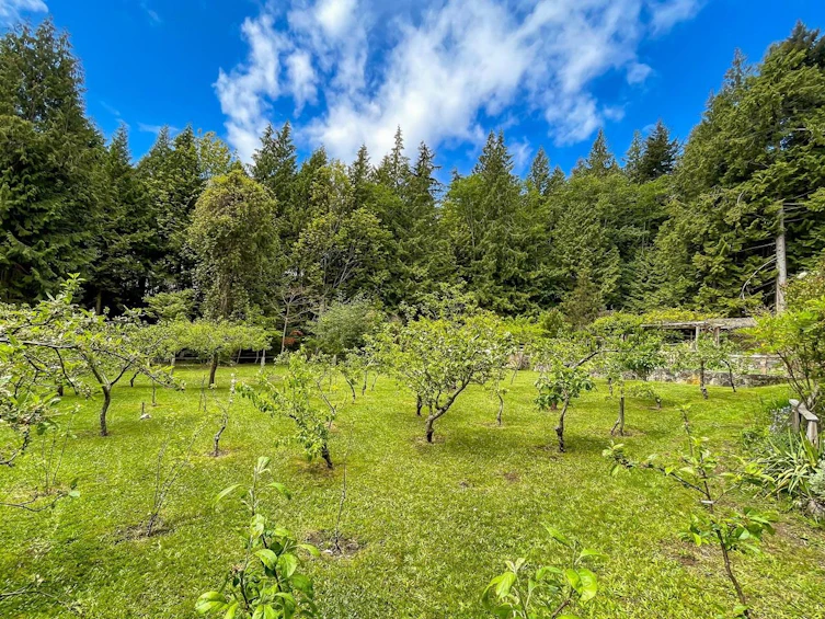 833 Byng Road, Roberts Creek, BC, V0N 2W6 - 32