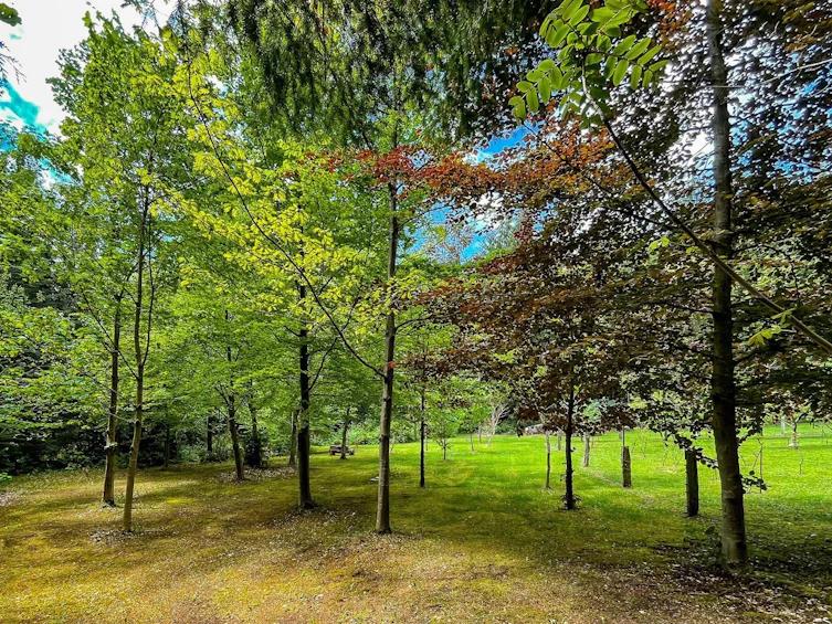 833 Byng Road, Roberts Creek, BC, V0N 2W6 - 34