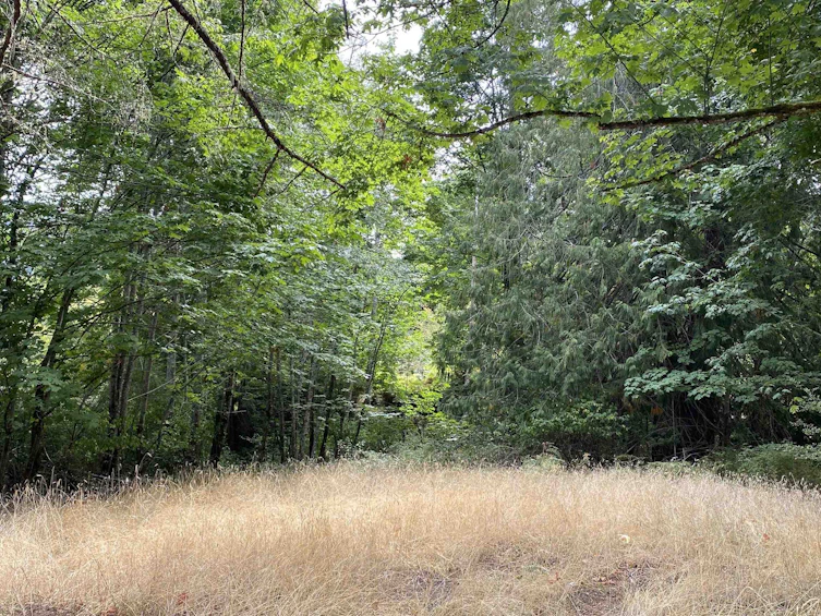 1501 Fulford Ganges Road, Salt Spring Island, BC, V8K 2A8 - 18