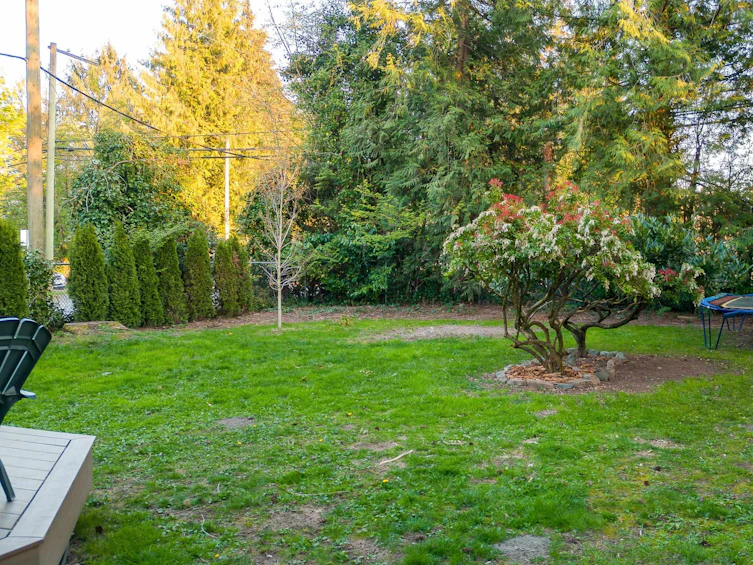 12421 Colemore Street, Maple Ridge, BC, V2X 5Z4 - 17