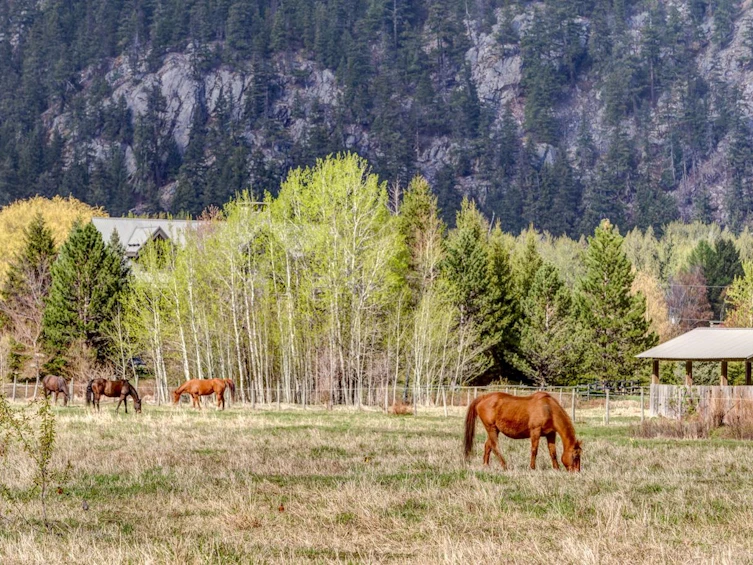 1360 Collins Road, Pemberton, BC, V0N 2L0 - 19