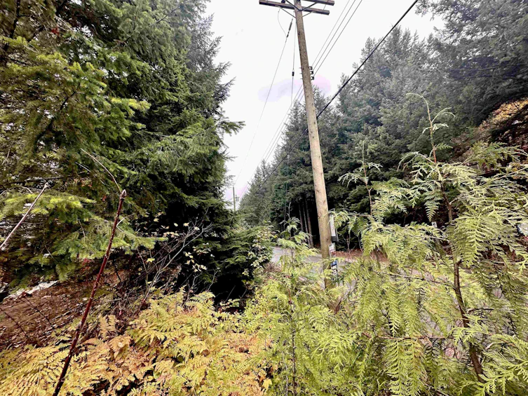 HG136 Old Hope Princeton Highway, Hope, BC, V0X 1L0 - 5