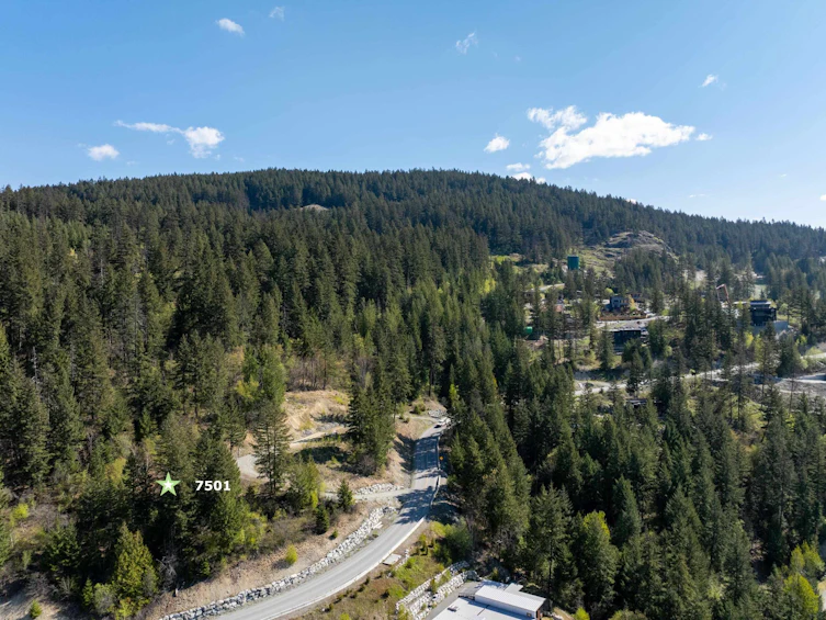 7501 Pebble Creek Drive, Pemberton, BC, V0N 2L1 - 9