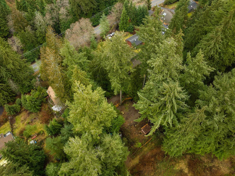 1269 Adams Road, Bowen Island, BC, V0N 1G2 - 13