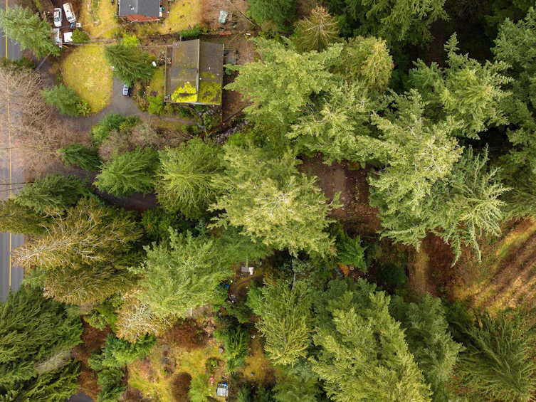 1269 Adams Road, Bowen Island, BC, V0N 1G2 - 14