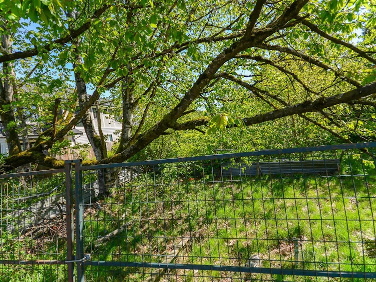 6720 Williams Road, Richmond, BC, V7E 1K5 - 4