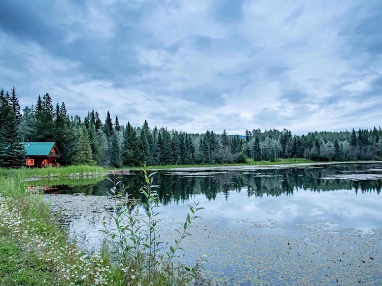24573 Walcott Road, Telkwa, BC, V0J 2X2 - 10
