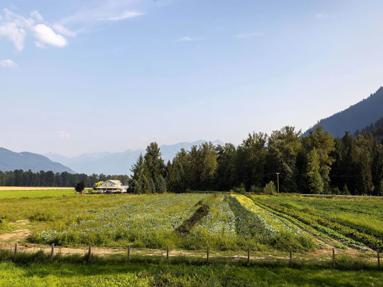 8184 Pemberton Meadows Road, Pemberton, BC, V0N 2L2 - 3