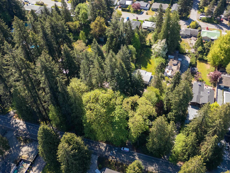 21438 124 Avenue, Maple Ridge, BC, V2X 4H3 - 38