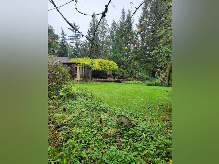 22164 79 Avenue, Langley, BC, V2Y 2S9 - 3