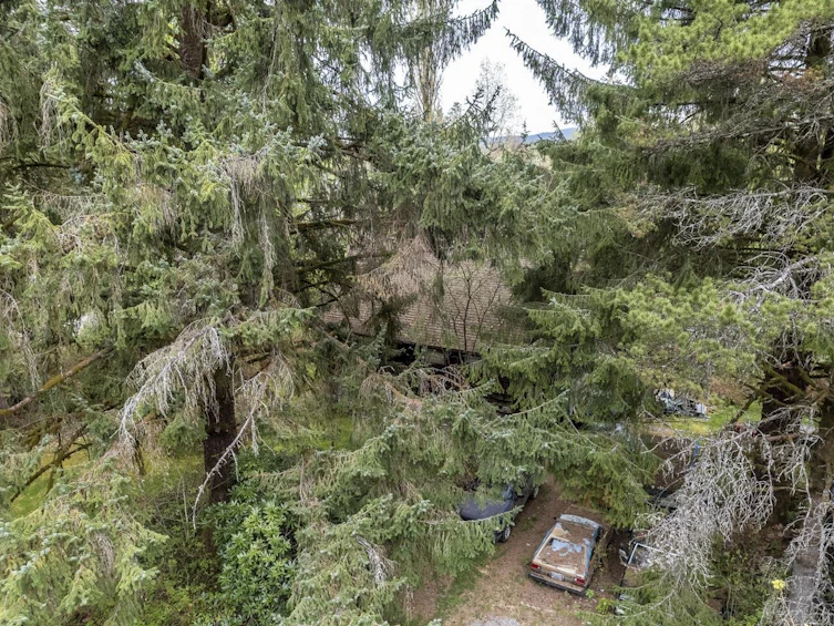12310 256 Street, Maple Ridge, BC, V4R 1B6 - 11