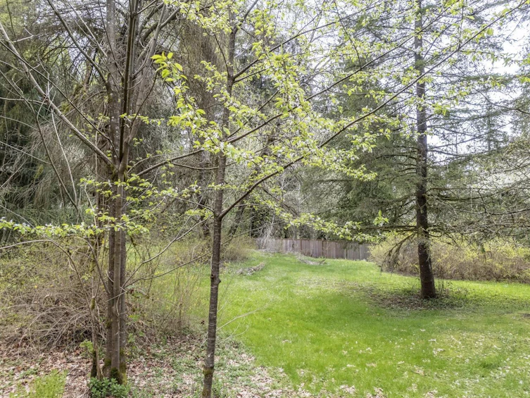 12310 256 Street, Maple Ridge, BC, V4R 1B6 - 18