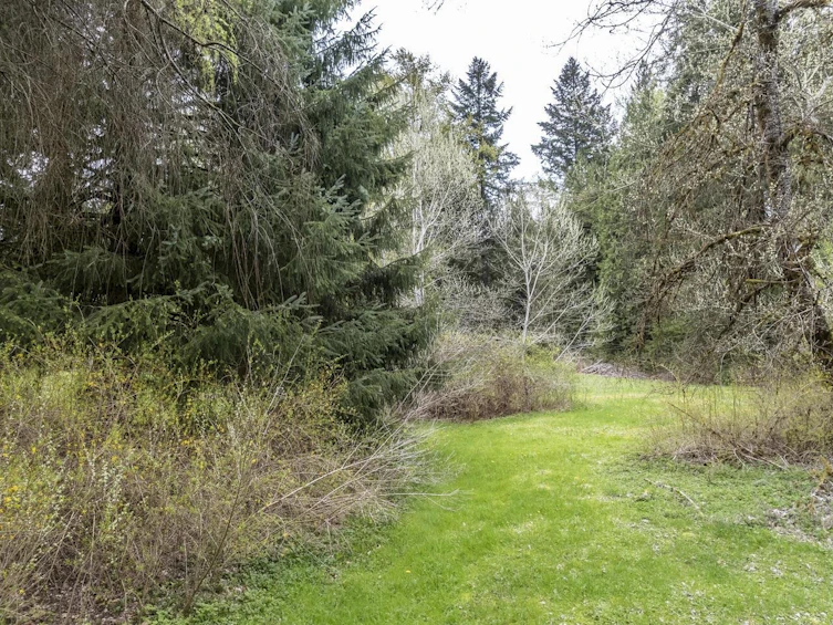 12310 256 Street, Maple Ridge, BC, V4R 1B6 - 21