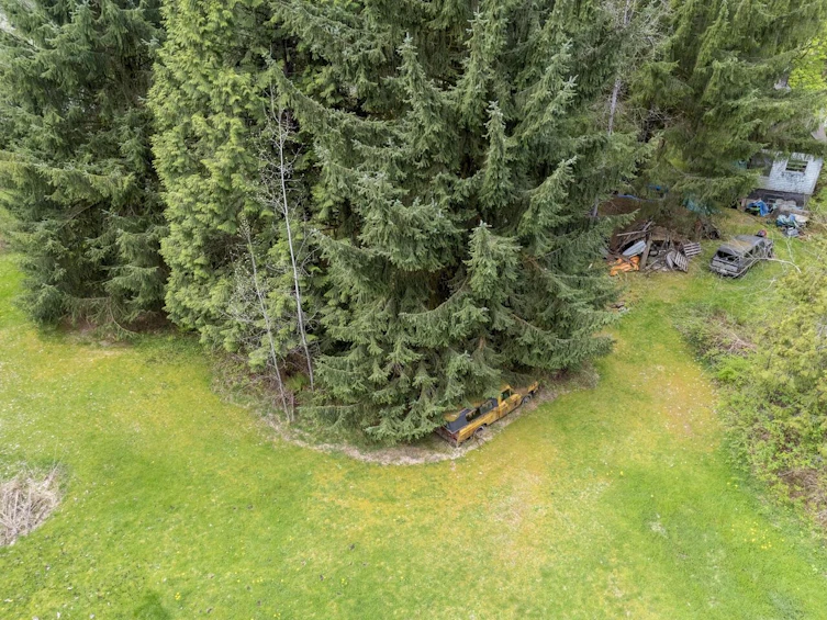 12310 256 Street, Maple Ridge, BC, V4R 1B6 - 35