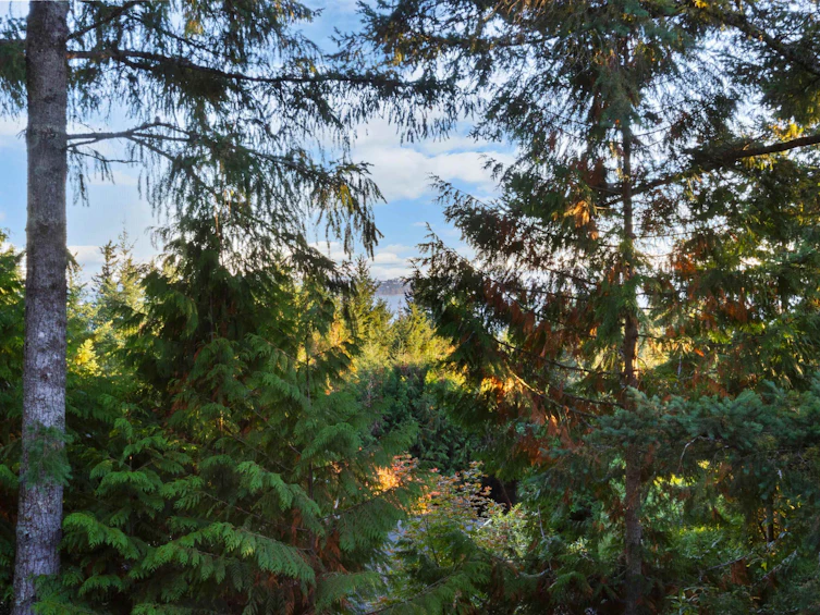 4556 Woodgreen Drive, West Vancouver, BC, V7S 2V2 - 24