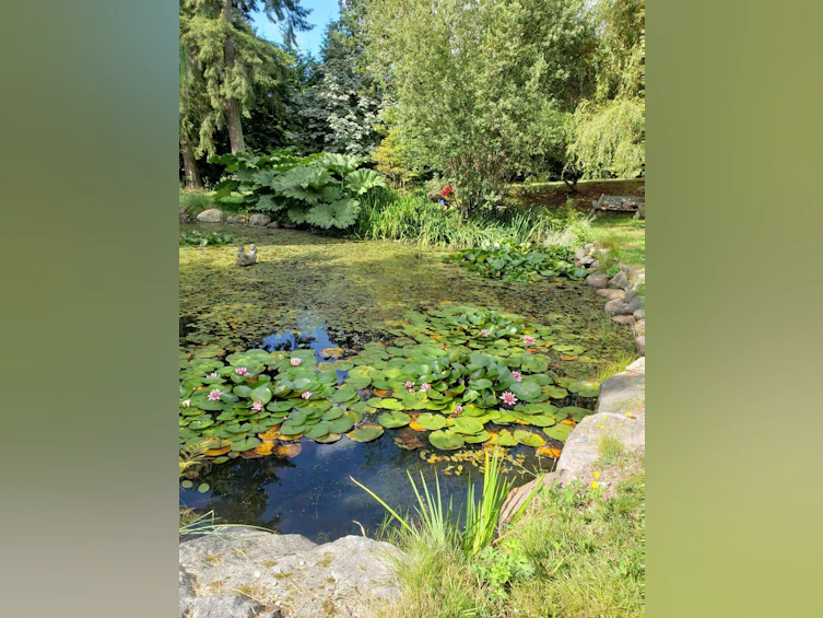 996 Reed Road, Gibsons, BC, V0N 1V7 - 38