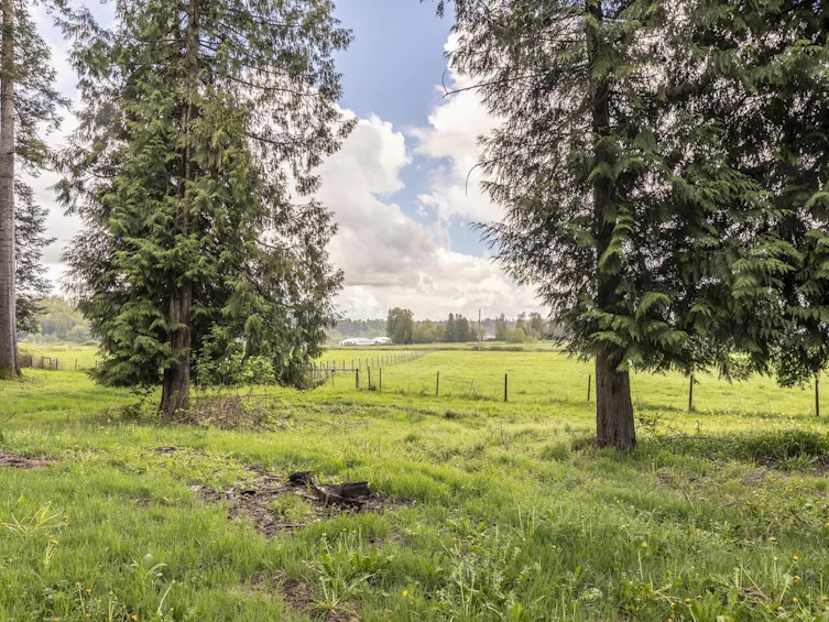 28530 Marsh Mccormick Road, Abbotsford, BC, V4X 2G9 - 29