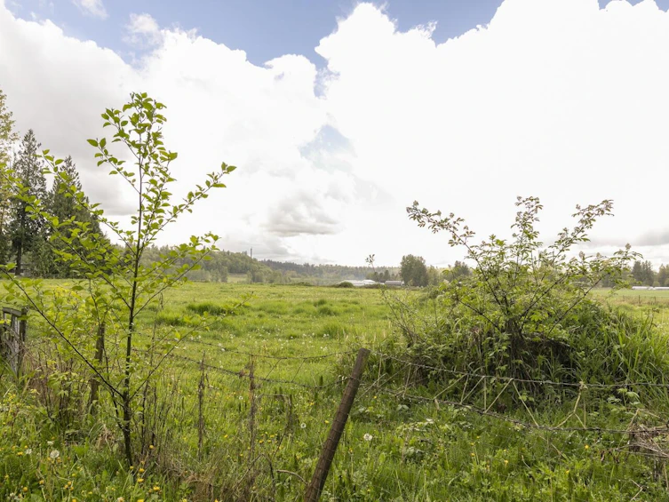 28530 Marsh Mccormick Road, Abbotsford, BC, V4X 2G9 - 30