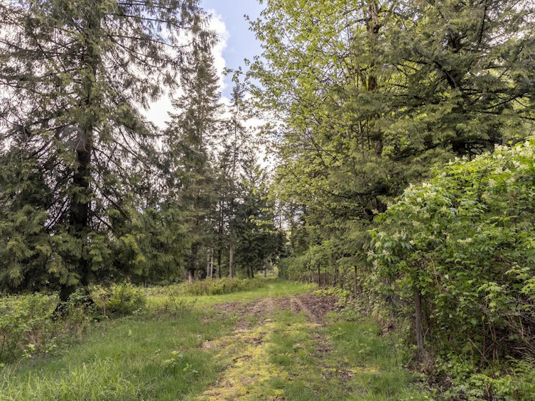 28530 Marsh Mccormick Road, Abbotsford, BC, V4X 2G9 - 32