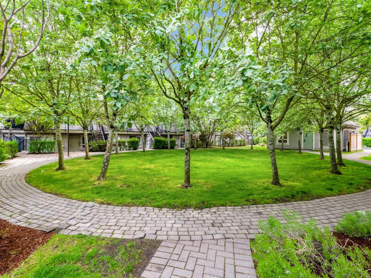 48-9339 Alberta Road, Richmond, BC, V6Y 4E3 - 3