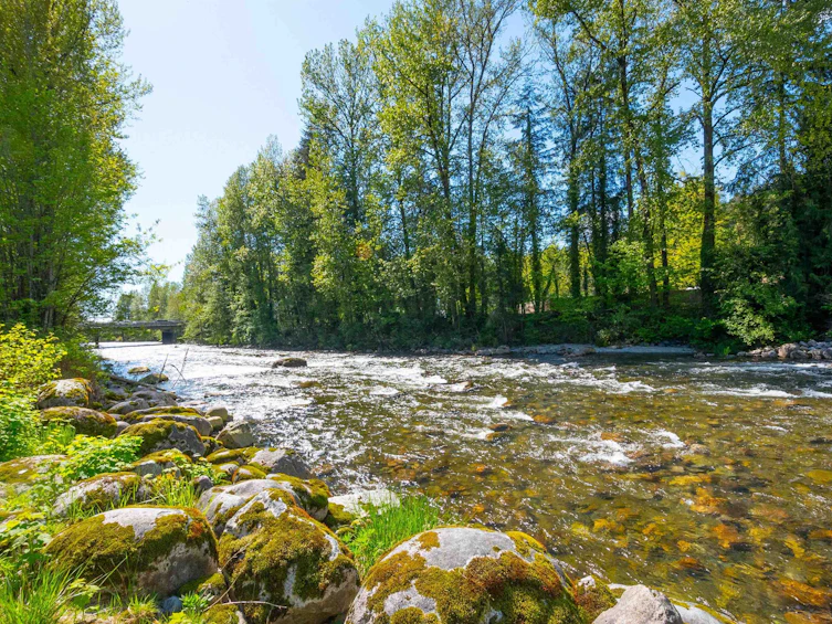 2154 Mt Seymour Parkway, North Vancouver, BC, V7H 1E3 - 3