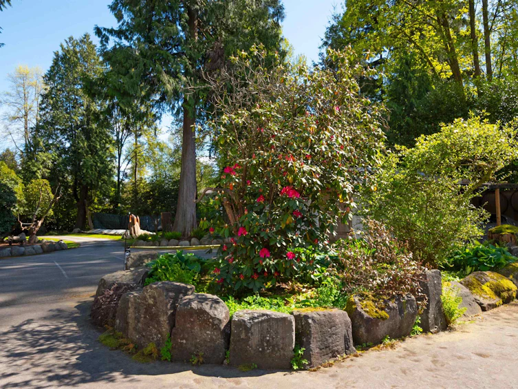 2154 Mt Seymour Parkway, North Vancouver, BC, V7H 1E3 - 36