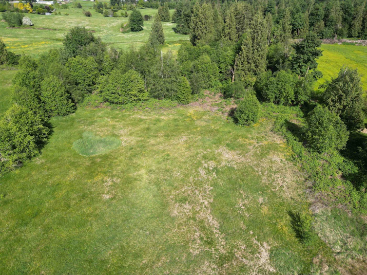 4544 Ross Road, Abbotsford, BC, V4X 1Z5 - 12