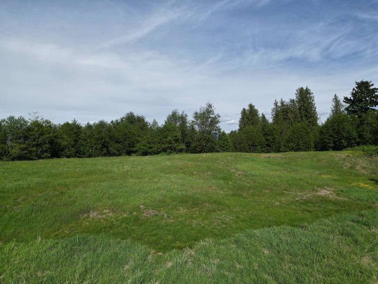 4544 Ross Road, Abbotsford, BC, V4X 1Z5 - 14