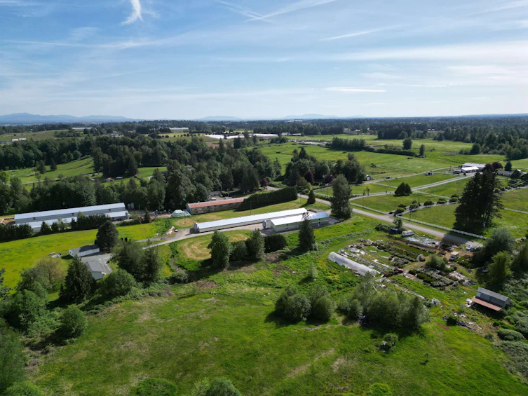 4544 Ross Road, Abbotsford, BC, V4X 1Z5 - 19
