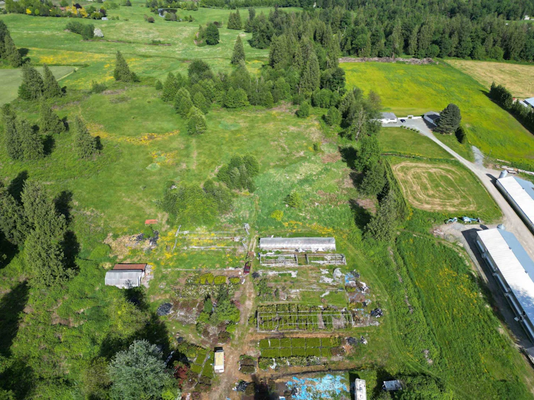 4544 Ross Road, Abbotsford, BC, V4X 1Z5 - 23