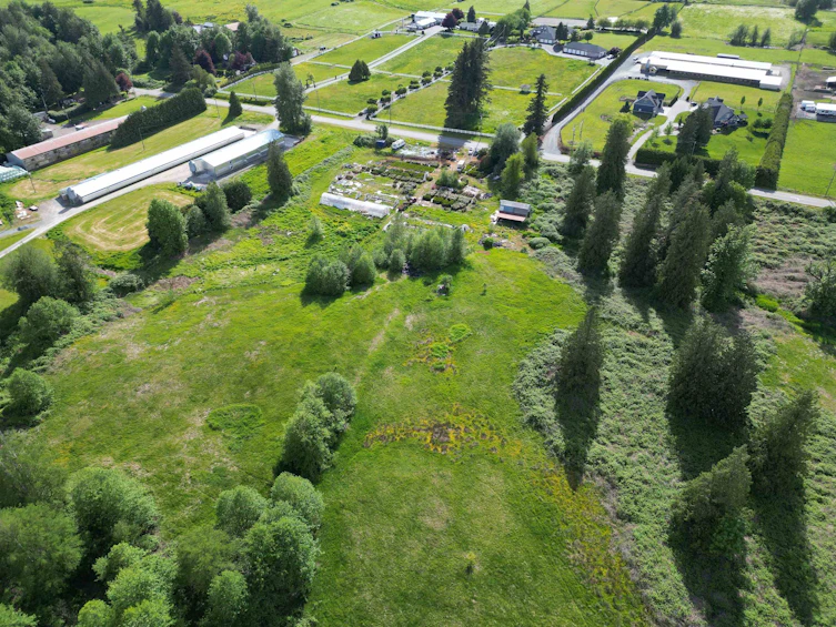 4544 Ross Road, Abbotsford, BC, V4X 1Z5 - 26