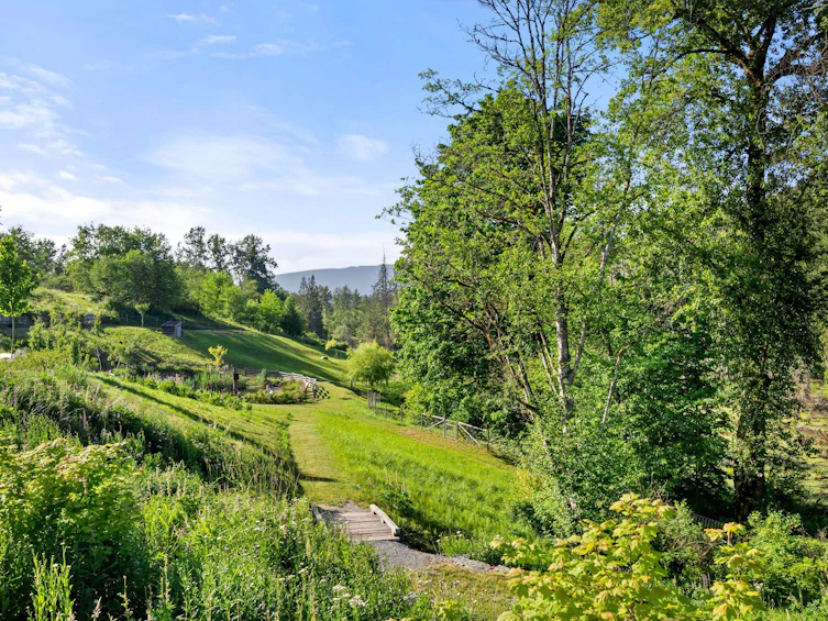 10372 Mckinnon Crescent, Langley, BC, V1M 3V2 - 34