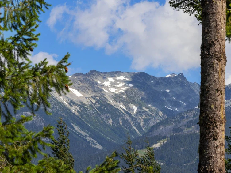 8328 Needles Drive, Whistler, BC, V8E 0G1 - 36