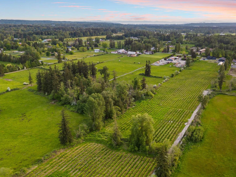 2974 224 Street, Langley, BC, V2Z 3B4 - 34