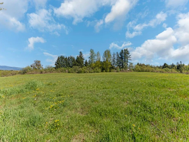 10392 208 Street, Langley, BC, V1M 3J7 - 28