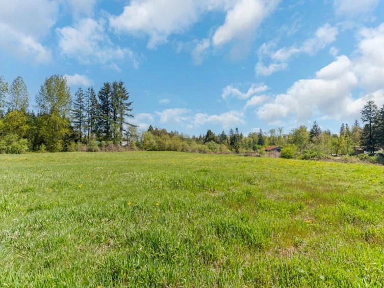 10392 208 Street, Langley, BC, V1M 3J7 - 29