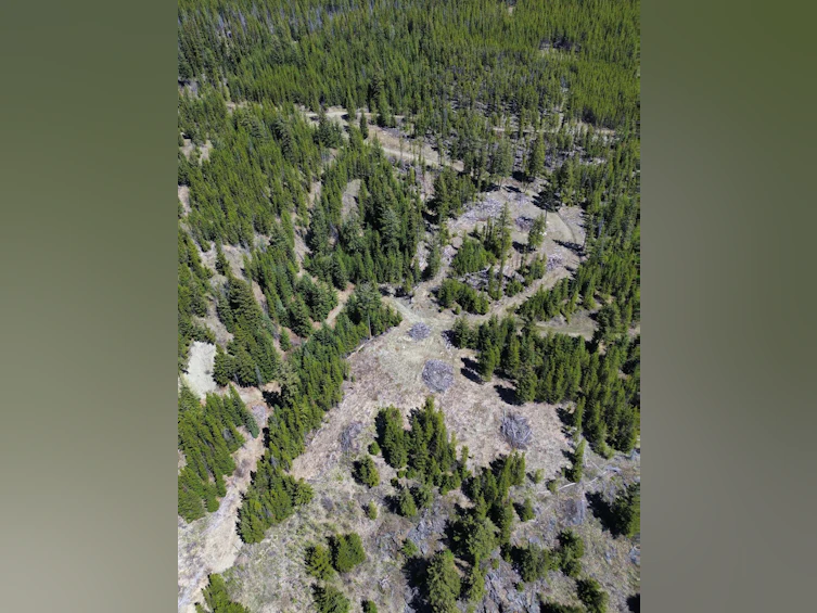 DL673 Pioneer Mine Road, Pemberton, BC, V0K 1P0 - 6