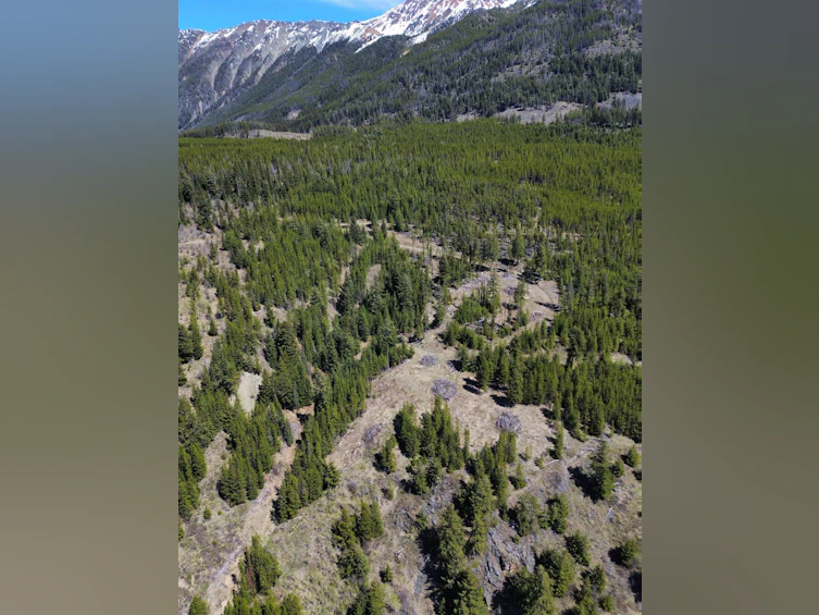 DL673 Pioneer Mine Road, Pemberton, BC, V0K 1P0 - 4