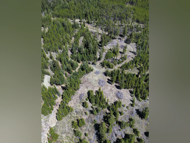 DL673 Pioneer Mine Road, Pemberton, BC, V0K 1P0 - 5