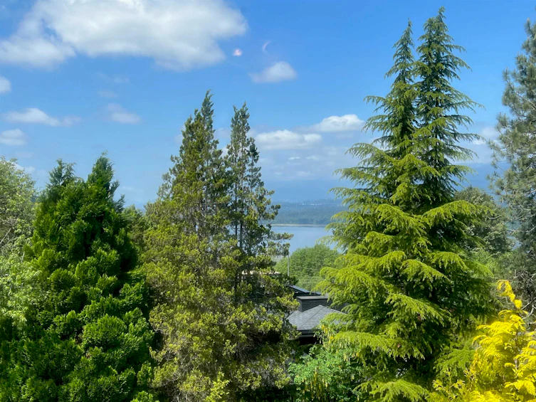 7286 Barnet Road, Burnaby, BC, V5A 1E2 - 9