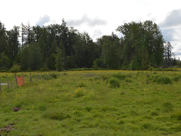 4370 224 Street, Langley, BC, V2Z 2V5 - 28