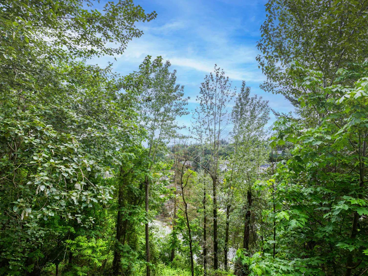 2763 St Moritz Way, Abbotsford, BC, V3G 1C3 - 36