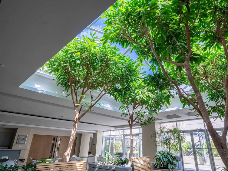 311-989 Nelson Street, Vancouver, BC, V6Z 2S1 - 27
