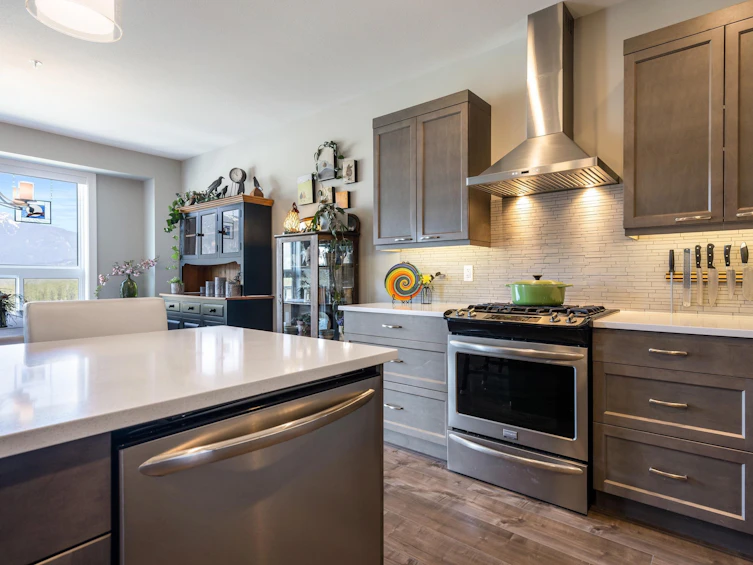 66-43685 Chilliwack Mountain Road, Chilliwack, BC, V2R 0X5 - 11