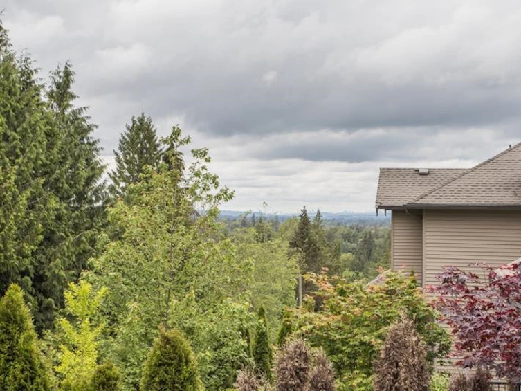 13277 236 Street, Maple Ridge, BC, V4R 0E4 - 14
