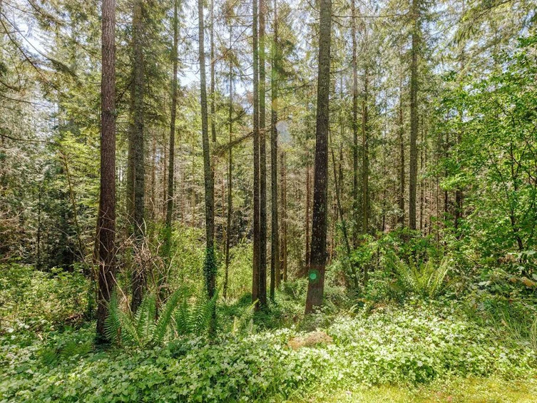 2259 Gail Road, Gibsons, BC, V0N 2W6 - 40