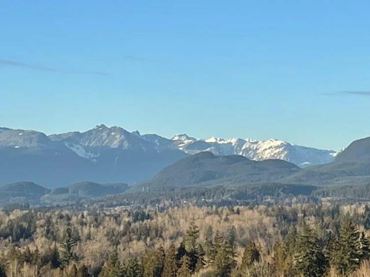 13-24850 106 Avenue, Maple Ridge, BC, V2W 0K4 - 39